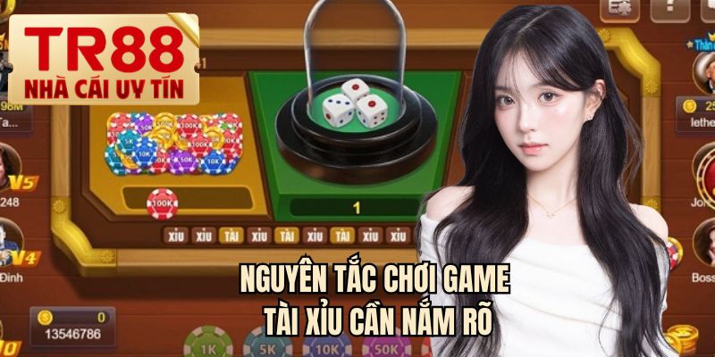 Nguyên tắc chơi game tài xỉu cần nắm rõ